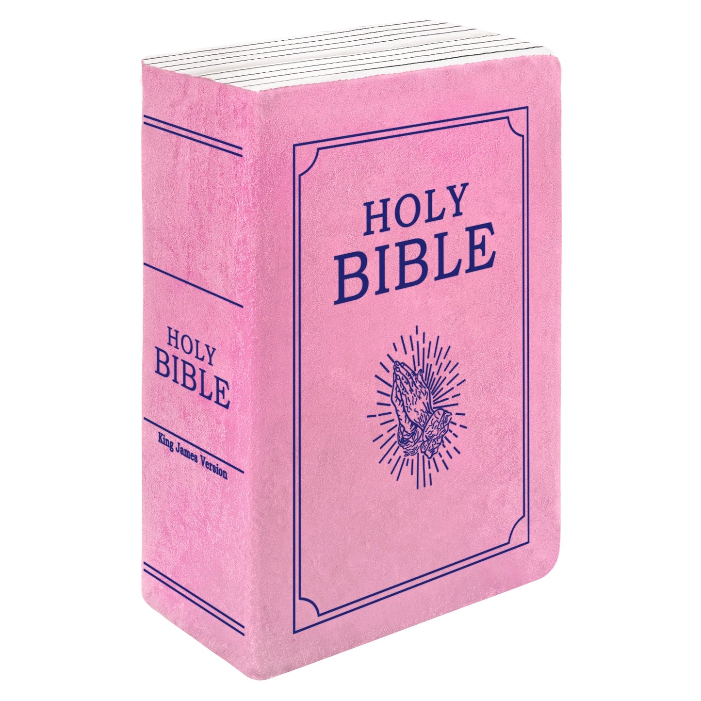 John 3 Pink Cutest Bible Memory Foam Pillow with Bible Throw Pillow Learn the valuable lesson Learn the valuable lesson