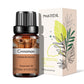 PHATOIL Natural Plant Essential Oil 10ml Eucalyptus Lavender Bergamot Vanilla Peppermint 1PCS Aroma Essential Oils For Diffuser