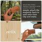 zetix Magnetic Wood Car Air Freshener for Visor, Amber Scent Refillable Odor Neutralizer, Eco-Friendly Essential Oil Blend