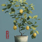Modern Minimalist Chinese Style Zen Fishing Natural Scenery Poster Canvas Paintings Wall Art Pictures Office Home Decor