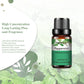 PHATOIL Natural Plant Essential Oil 10ml Eucalyptus Lavender Bergamot Vanilla Peppermint 1PCS Aroma Essential Oils For Diffuser