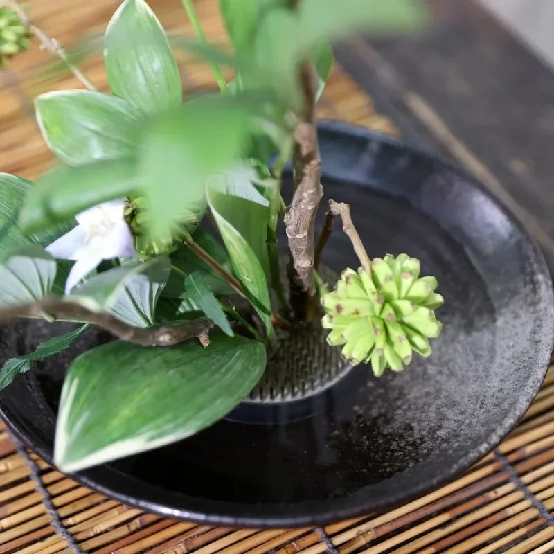 Japanese Ceramic Frog Vase Bouquet Ikebana Flower Arrangement Bowl Device Ikebana Centerpieces Tea Table Decoration