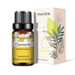 PHATOIL Natural Plant Essential Oil 10ml Eucalyptus Lavender Bergamot Vanilla Peppermint 1PCS Aroma Essential Oils For Diffuser