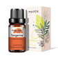 PHATOIL Natural Plant Essential Oil 10ml Eucalyptus Lavender Bergamot Vanilla Peppermint 1PCS Aroma Essential Oils For Diffuser