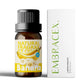 25 Type Fruit Essential Oils Fruit Perfumes Fragrance Oil for Diffuser Candles Making -Strawberry Lemon Peach Banana Mango