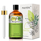 PHATOIL 100ml Natural Essential Oil For Skin Aromatherapy Lemongrass Eucalyptus Lavender  Peppermint Fragrance Essential Oils