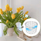 New Spiral Ikebana Stem Holder, Floral Grid for Vase Elegant Centerpiece Design Company Party Flower Arrangement Tool