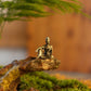 Micro Landscape Bronze Chinese Buddha Ancient Tea Ceremony Zen Moss Rockery Bonsai Sand Table Decorationfairy Garden Miniatures