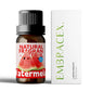 25 Type Fruit Essential Oils Fruit Perfumes Fragrance Oil for Diffuser Candles Making -Strawberry Lemon Peach Banana Mango