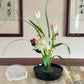 Round Ikebana Stem Holder Clear Flower Suction Cup Holder Flower Arranging Fixed Base Pot Vase Floral Rubber Bracket Home Decor