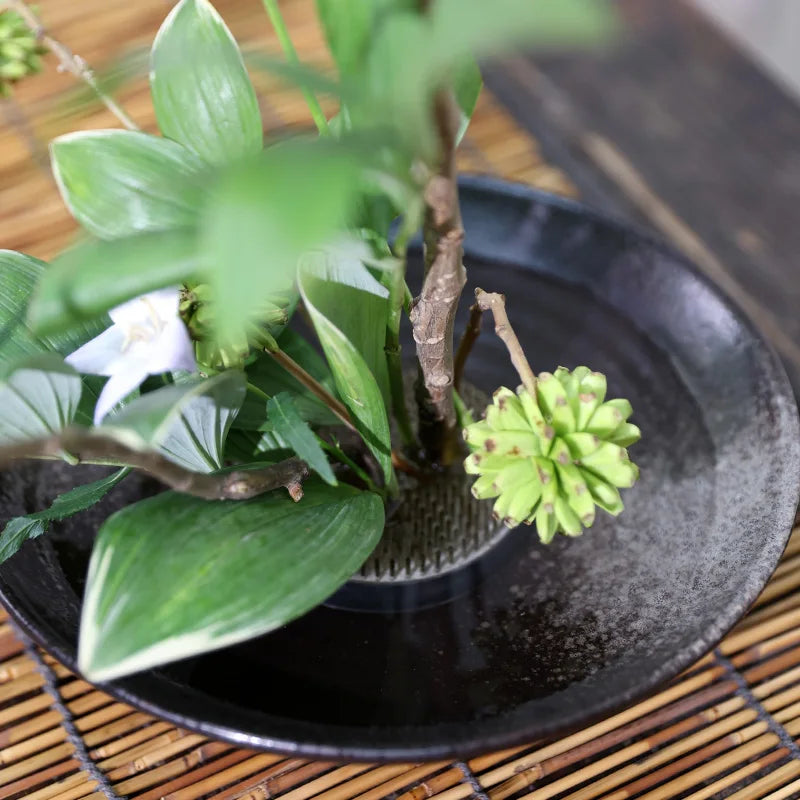 Japanese Frog Vase Ceramic Bouquet Flower Arrangement Bowl Device Kenzan Arranging Ikebana Centerpieces Wedding Floral Holder
