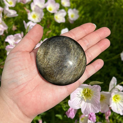 1pc Golden Obsidian Palm Stone - Round Polished Worry Stone with Black & Golden Veins, Home Decor, Collector's Display