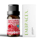 25 Type Fruit Essential Oils Fruit Perfumes Fragrance Oil for Diffuser Candles Making -Strawberry Lemon Peach Banana Mango