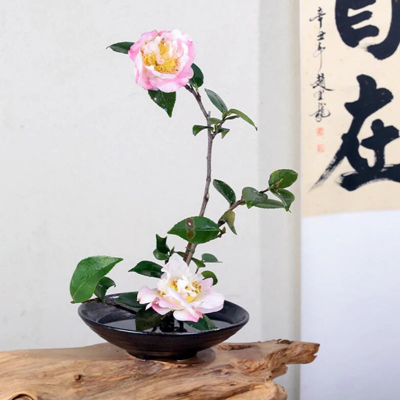 Japanese Frog Vase Ceramic Bouquet Flower Arrangement Bowl Device Kenzan Arranging Ikebana Centerpieces Wedding Floral Holder