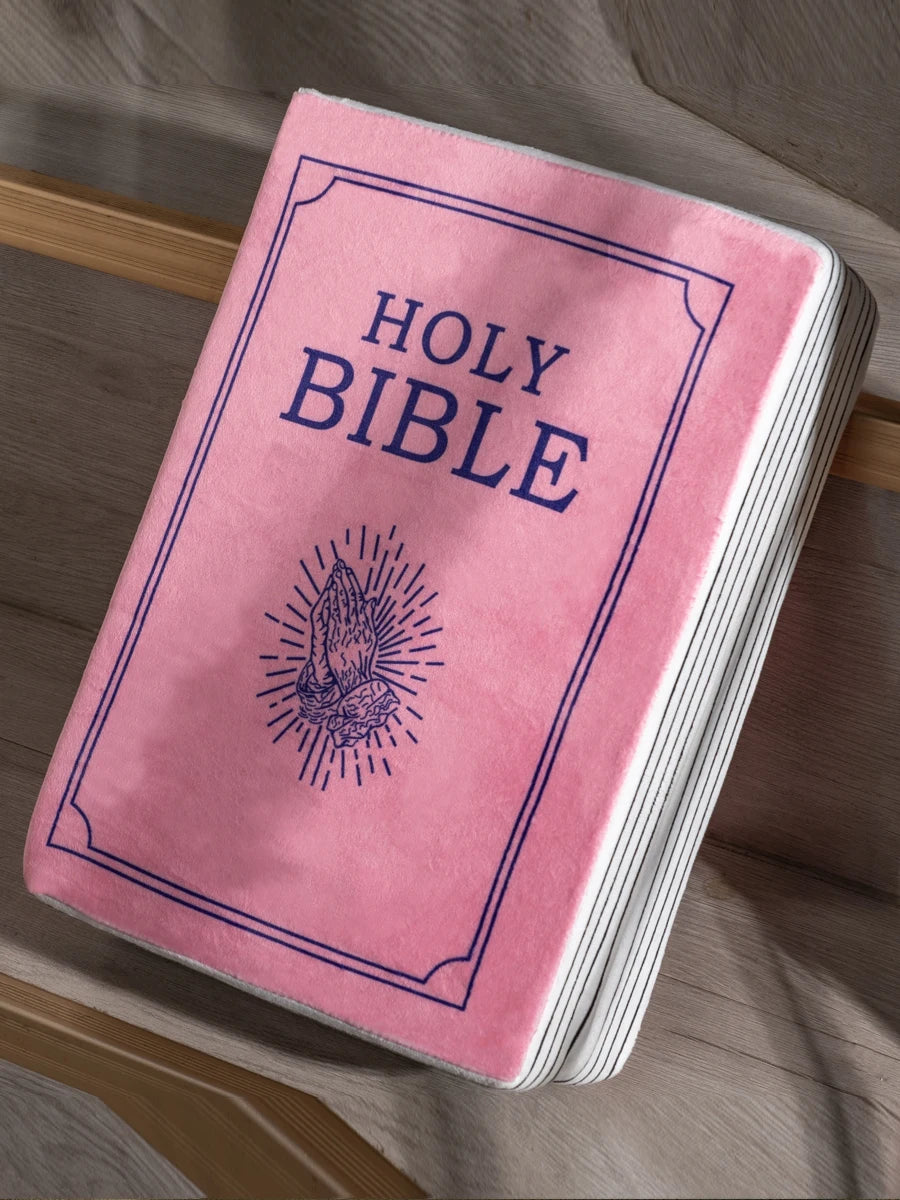John 3 Pink Cutest Bible Memory Foam Pillow with Bible Throw Pillow Learn the valuable lesson Learn the valuable lesson