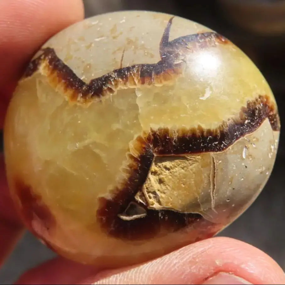 1pc Septaria Palm Stone Worry Stone Beautiful Orca Agate Crystal Crystal Gift Crystal Gift, Pick Your Septaria Palm