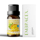 25 Type Fruit Essential Oils Fruit Perfumes Fragrance Oil for Diffuser Candles Making -Strawberry Lemon Peach Banana Mango