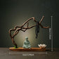 Natural Solid Wood Root Carving Decoration Creative Home Living Room Decoration Crafts Weathered Wood Root Zen Decoration