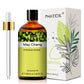 PHATOIL 100ml Natural Essential Oil For Skin Aromatherapy Lemongrass Eucalyptus Lavender  Peppermint Fragrance Essential Oils