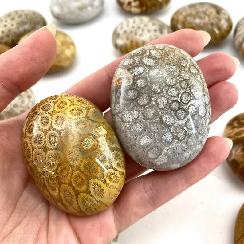 Natural Coral Jade Crystal Palm Stone Chakra Reiki Meditation Coral Palm Stone Polished Worry Stone